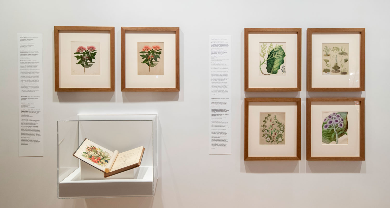 A book and pictures on the wall featuring botanical watercolours