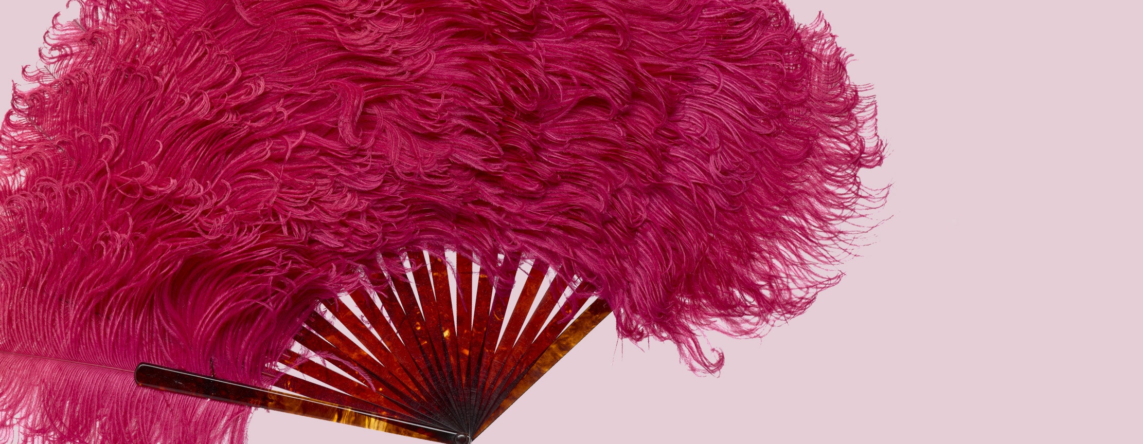 A hot pink feather fan on a light pink background