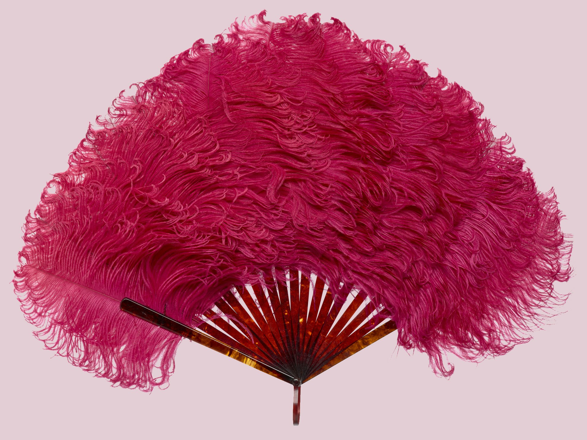 A hot pink feather fan on a light pink background