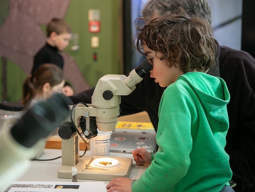 Te Taiao Whānau Day: Backyard Birds and Bugs, 12 July 2019. Photo by Jo Moore. Te Papa (141700) Children looking through microscopes at small bugs.