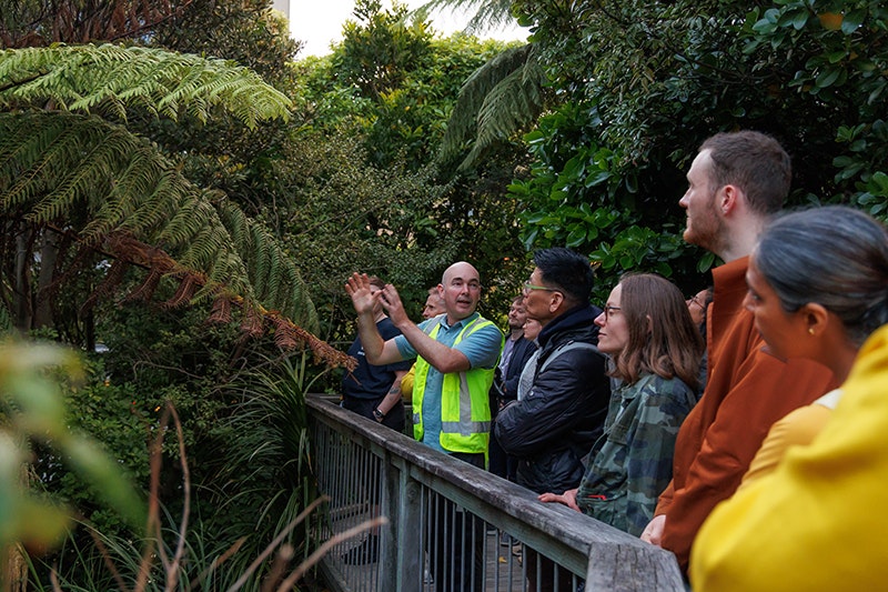Kōanga After Dark 2024, Photo by Jo Moore. Te Papa (249734) A male curator wearing a high visibility vest talks and gestures at a large tree fern in Bush City. He is talking to a group of 9 people who are all looking at the fern.
