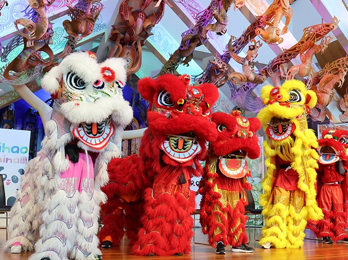 Multicultural Festival 2023. Photo courtesy of Multicultural Council of Wellington Five people in Chinese Dragon costumes are on the stage at Te Papa