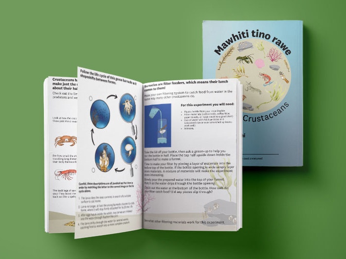 Clever Crustaceans activity book, 2023. Illustrations and design by Poppy McGuigan Hay. Te Papa Layout view of the Clever Crustaceans activity book