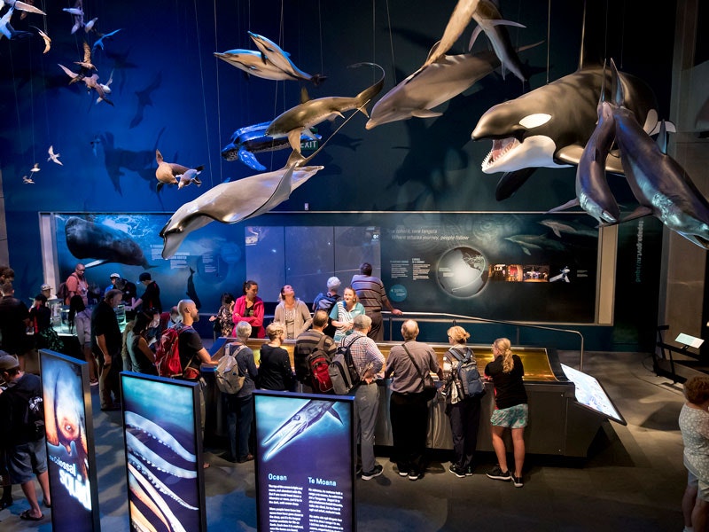 mountains-to-sea-exhibition-view-2018-photograph-by-maarten-holl-te-.jpg Inside the Mountains to Sea exhibition