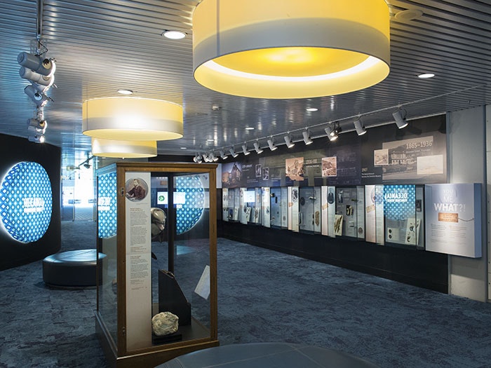 You Called Me WHAT?! exhibition, 2016. Photograph by Kate Whitley. Te Papa ycmw-700x525.jpg