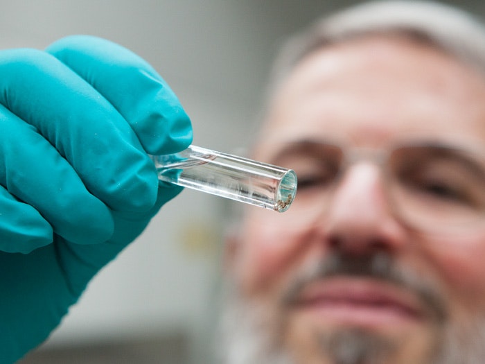 Crab seal identification, 2015. Photograph by Norm Heke. Te Papa Crab seal identification, 2015. Photograph by Norm Heke. Te Papa