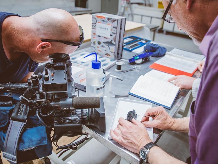 Andrew Stewart at work in the Fishes lab, 2015. Te Papa Andrew Stewart at work in the Fishes lab, 2015. Te Papa
