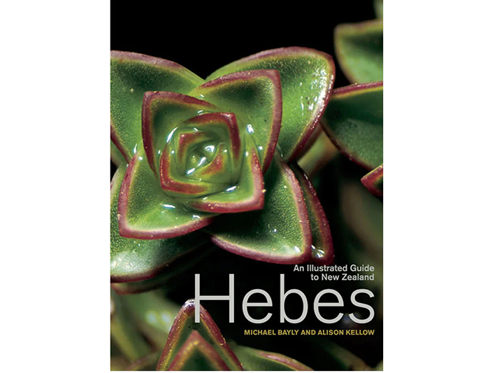 an-illustrated-guide-to-nz-hebes_1024x1024.png an-illustrated-guide-to-nz-hebes_1024x1024.png