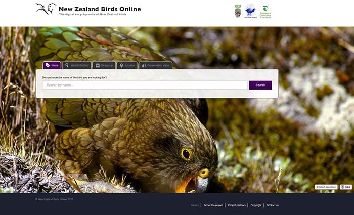 A website text search box over the middle of an image of a Kea parrot on the ground.
