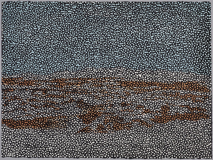 Untitled by Daniel Boyd. 2015, lithograph. Gift of The Australian War Memorial, 2016. Te Papa (2016-0006-1) Lithograph print by Daniel Boyd