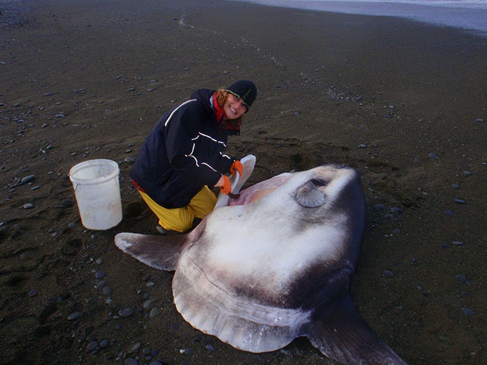 Woman poses with a sunfish