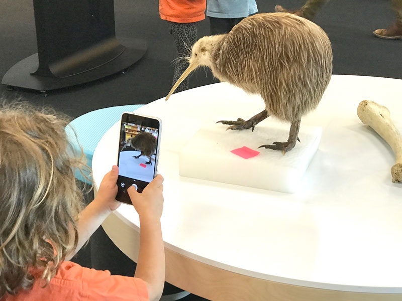 A child takes a photograph of a Kiwi, 2017. Te Papa A child takes a photograph of a Kiwi