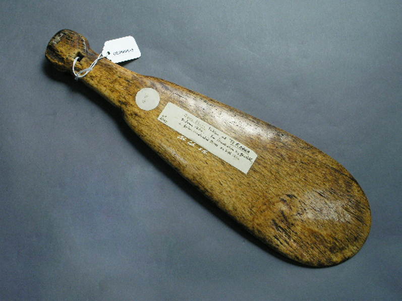 Patu parāoa (whale bone hand weapon), 1800s, North Island, maker unknown. Oldman Collection. Gift of the New Zealand Government, 1992. Te Papa (OL000015/.S) Whale bone hand weapon