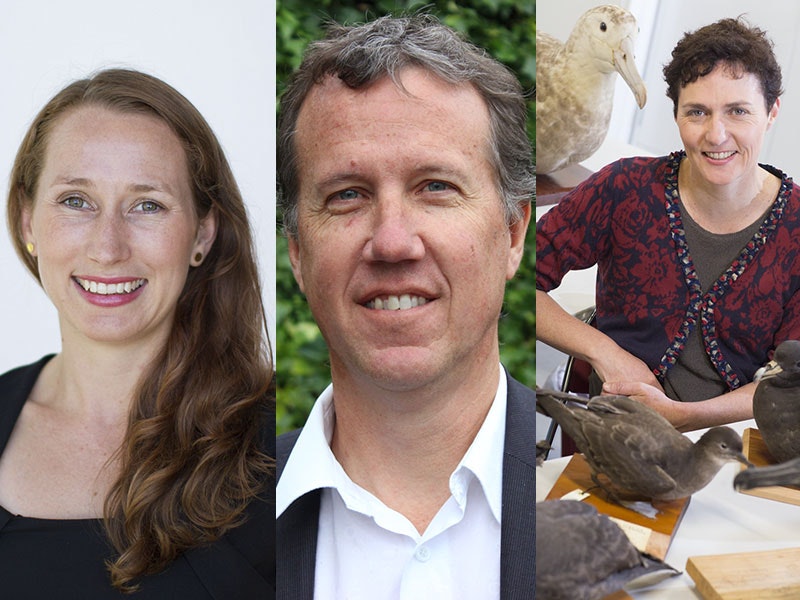 courtney-dean-susan-800x600.jpg courtney-dean-susan-800x600.jpg