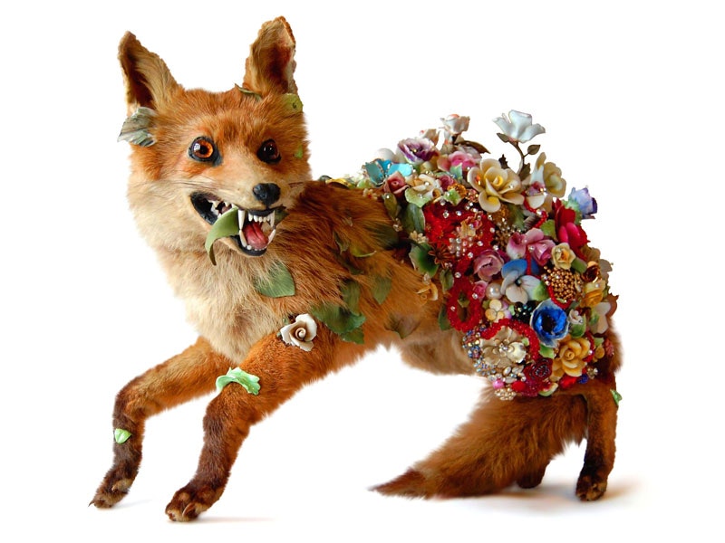Angela Singer, Hedge Row, 2010, vintage taxidermy fox, found vintage jewels, glass and ceramic flowers. On loan from the artist