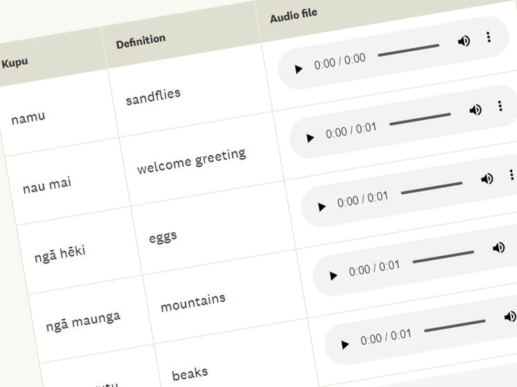 Screenshot of the glossary page from Te Papa website. Te Papa a cropped photo of text in Māori and English set at an angle, not intended to read