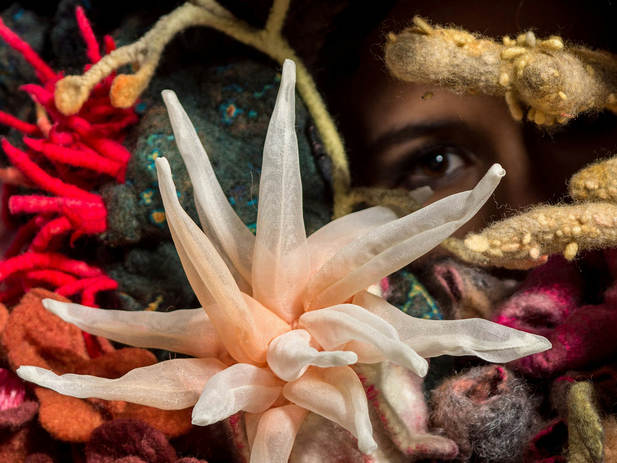 Detail of Human Nature, Saar Snoek, Netherlands. Images courtesy of World of WearableArt Ltd A woman's eye showing through sea shapes made of felt