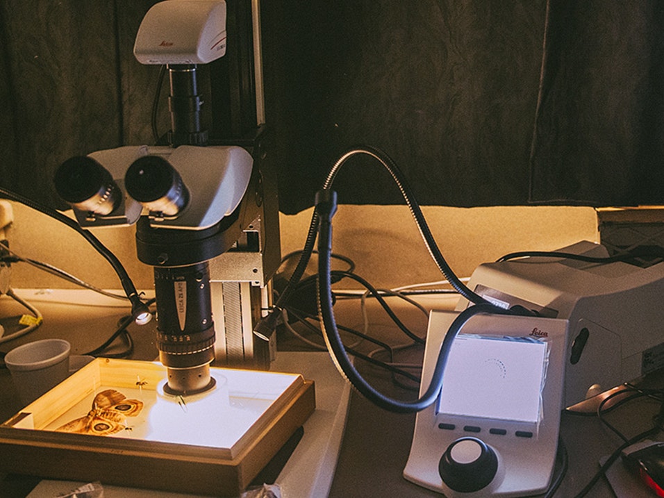 Macroscope, 2019. Photo by Amanda Rogers. Te Papa (133681) A photo of a macroscope in a dark room