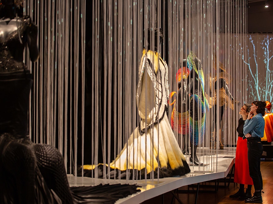 Visitors in the exhibiton World of WearableArt – Up Close. Photo by Jo Moore. Te Papa Two people looking at