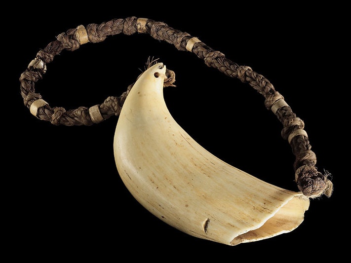 Tabua (ceremonial whale tooth), 1800s, Fiji, maker unknown. Gift of RL Holmes, 1887. CC BY-NC-ND 4.0. Te Papa (FE000229/1) Whale’s tooth on a braided necklace