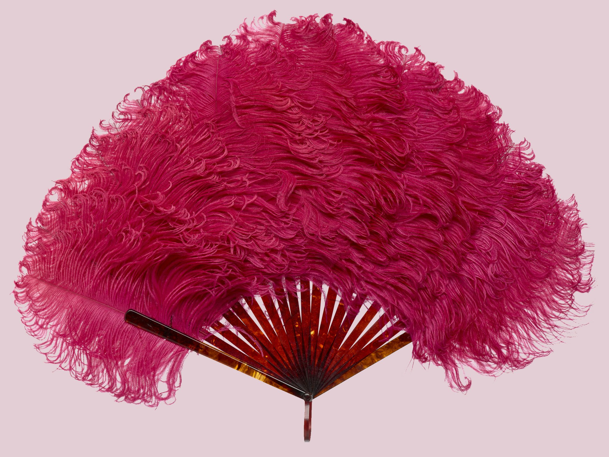 Fan, 19th century, maker unknown. Gift of Mrs Phyllis Cousins, 1967. CC BY-NC-ND 4.0. Te Papa (PC001084) A hot pink feather fan on a light pink background