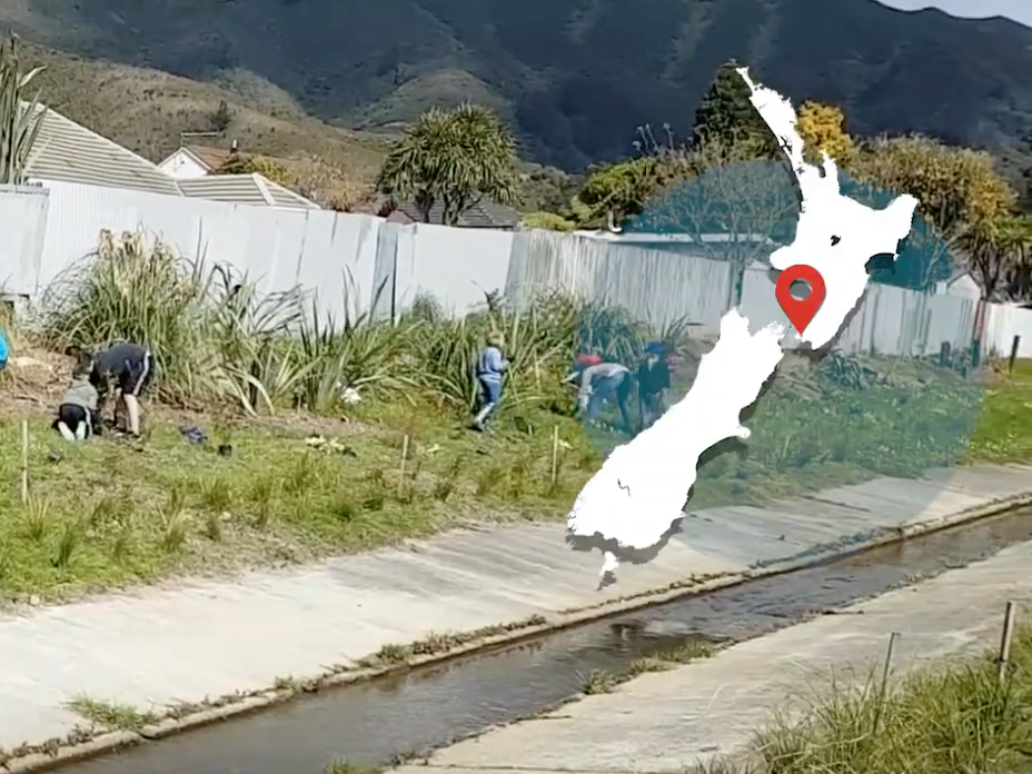 Still from Rata Street School. Te Papa People planting plants along a small waterway with houses in the background and a map of New Zealand overlaid on the right-hand side