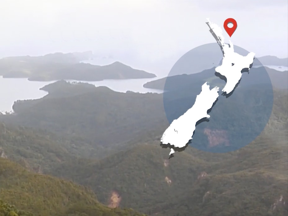 Video still from Saving seabirds, Great Barrier Island. Te Papa A view across an inlet with the sun shining low on it. There's a map of New Zealand overlaid on the image on the top right-hand side.