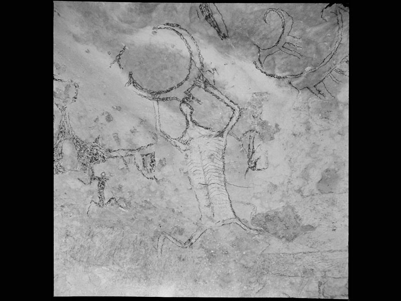 Māori rock drawing, 1946-1949, South Island, by Theo Schoon. Purchased 2001 with New Zealand Lottery Grants Board funds. Te Papa (CA000855/001/0003/0030) Rock art drawing which includes a human figure