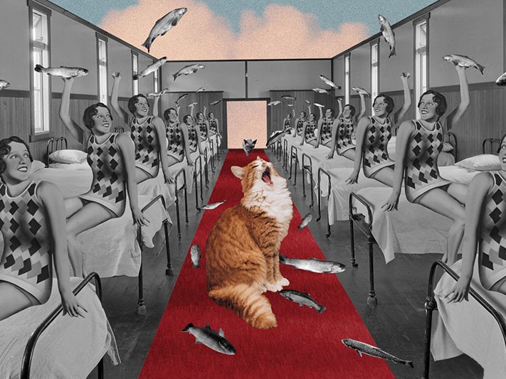 Paris Collage Collective Surrealist Dreams submission, 2021. Collage by KC Wong Photographic collage featuring a roofless room of beds, women sitting on them holding fish aloft, a cat in the middle on red carpet yawning. The sky above is blue with pinky clouds
