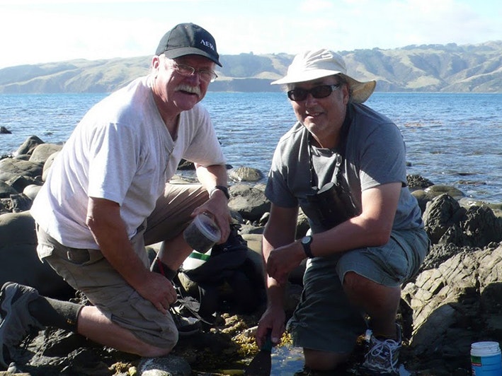 Graham Bird (right) and Rick Webber (Curator of Crustacea at Te Papa) collecting tanaids and other small invertebrates from gravel and algae in tide pools on Mana Island during the 2011 Mana Marine Bioblitz. Photo courtesy of Graham Bird Two men are crouched on coastal rocks with jars of specimens in front of them.