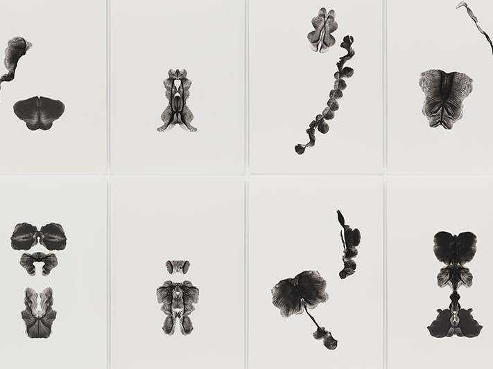 ma_i496384.5000x3000_tile.jpg ma_i496384.5000x3000_tile.jpg