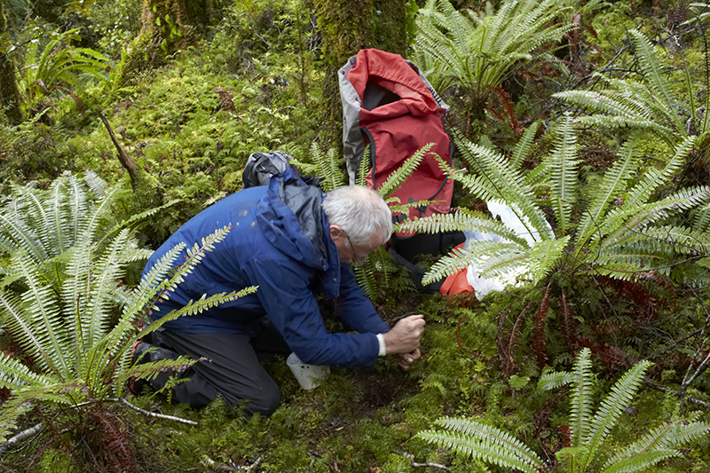 A man in a blue jacket is kneeling in the bush setting up a trap.