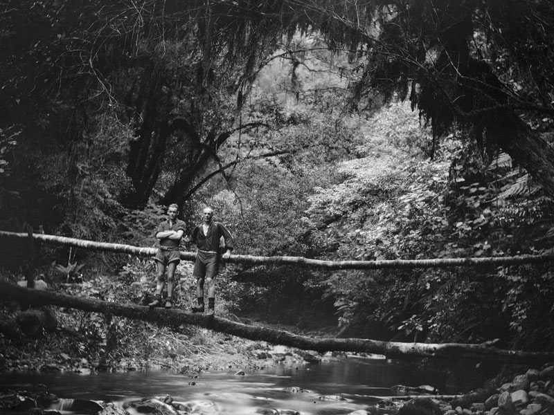 First attempt to cross Tararuas via Bannister 27 February 1929, 1929, North Island, by Leslie Adkin. Gift of G. L. Adkin family estate, 1964. Te Papa (B.020660) Black and white photo of two man balances on a tree which has fallen across a river