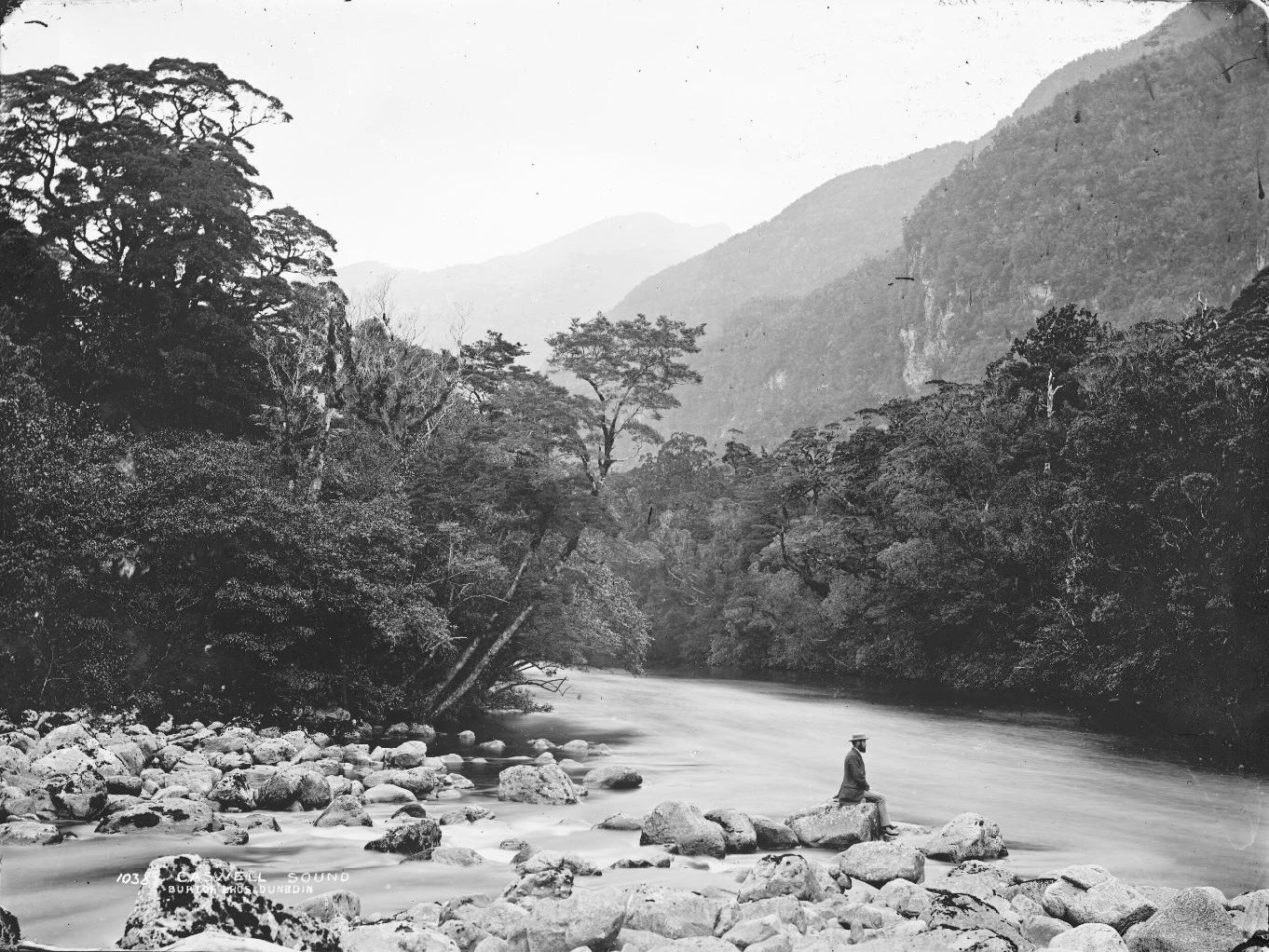 Caswell Sound, 1879, Dunedin, by Burton Brothers studio, Alfred Burton. Te Papa (C.015355) A man sits on a rock by the river