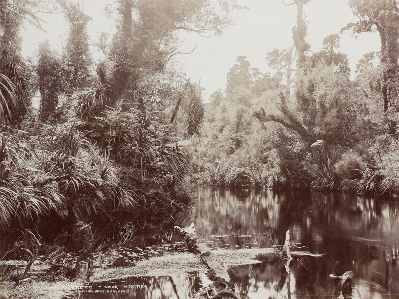 Mahinarua Creek, near Hokitika, by Muir & Moodie studio, Burton Brothers studio. Te Papa (O.033857) Black and white photo of a river in dense bush