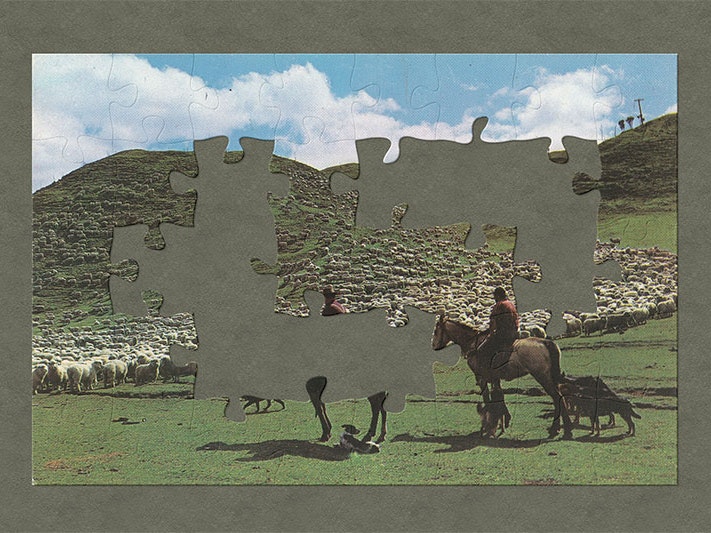 Postcard, ‘A New Zealand sheep muster’, by Gladys Goodall, 1960s, Christchurch. Te Papa (PS.003578) A postcard with a photo of two men on horseback and their dogs rounding up sheep