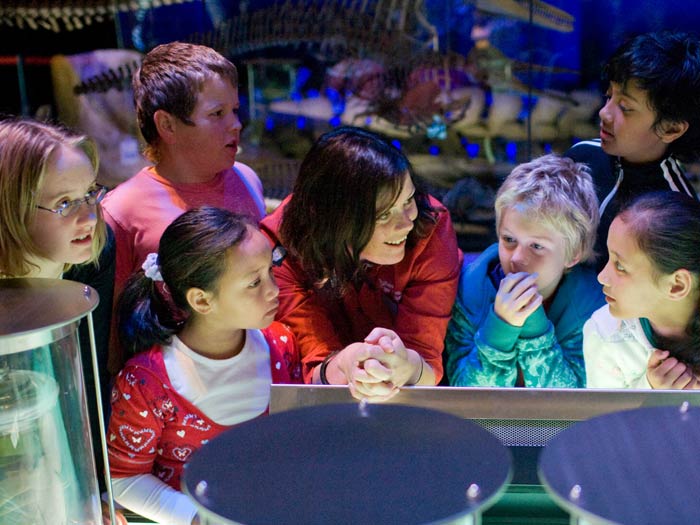 Custom education visit | Te Papa