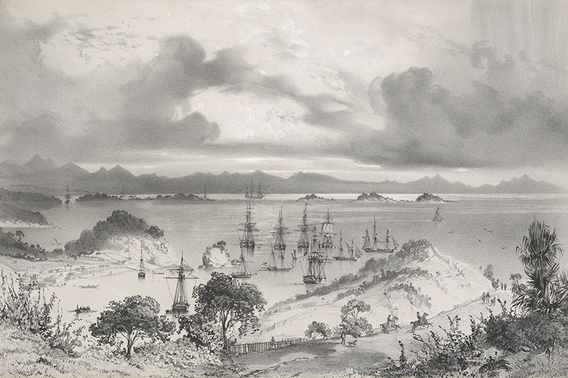 View of a bay, featuring a number of tall ships in the harbour