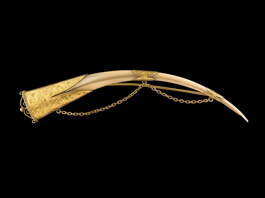Huia beak brooch, circa 1900, New Zealand, maker unknown. Purchased 1996 with New Zealand Lottery Grants Board funds. CC BY-NC-ND 4.0. Te Papa (GH005020) A long, thin beak encased in gold at each end, with a gold chain joining each end on a black background