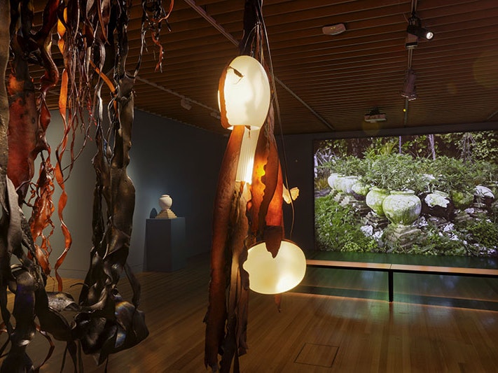 This Natural World exhibition view, showing part of Karl Fritsch’s Kelp, 2023 and Raewyn Atkinson’s I too am in Paradise II, 2018 projected onto the wall accompanied by the artist’s Urn and base, 2023. Te Papa (236088) View of a gallery space. It is dimly lit. In the foreground hangs large pieces of kelp lit by a rainbow of neon lighting. In the background, projected onto the wall, is a video work comprising of many ceramic pots housing plants the are outgrowing them