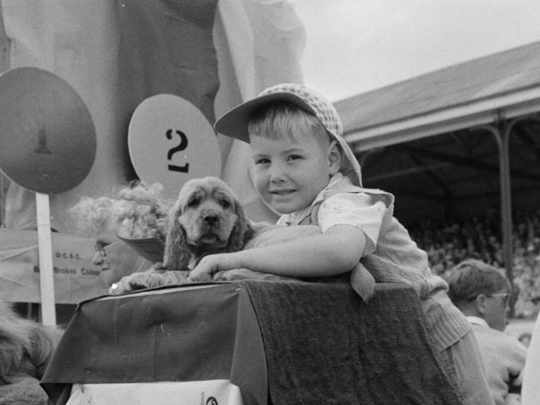 Boy with cocker spaniel puppy, 1960, New Zealand, by Brian Brake. Te Papa (E.005364/16) A young boy hugs a puppy at a fair
