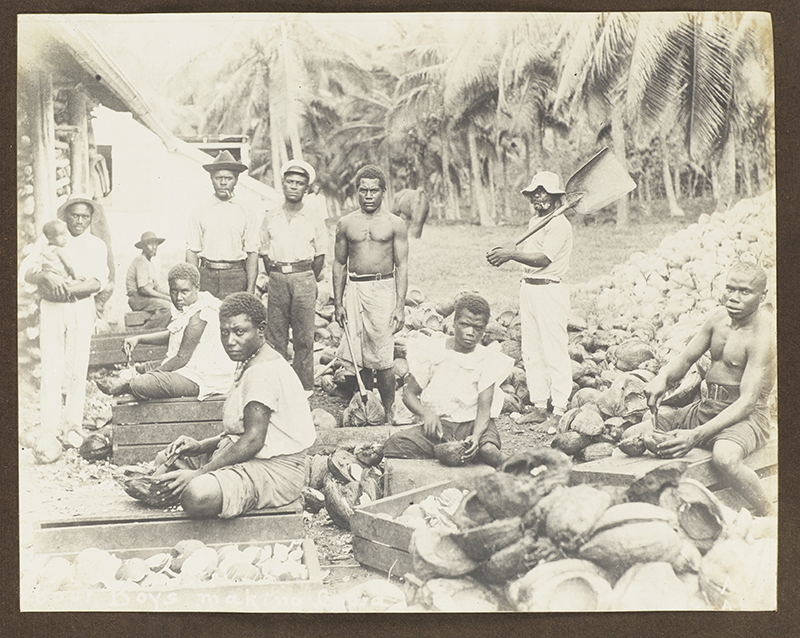 A sepia photo of some men sitting and standing working on making copra from coconuts
