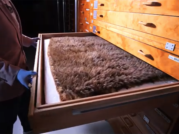 A drawer in a darkened room is being opened by someone wearing blue gloves. In the drawer is a feather cloak.