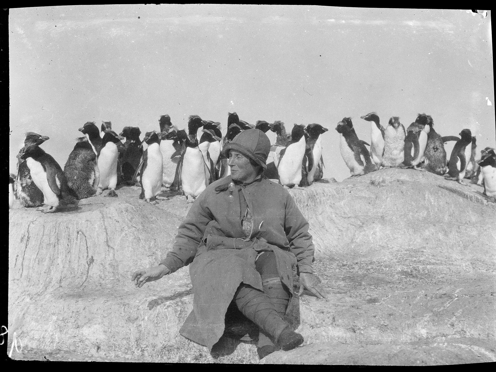 Anna Elizabeth (Bessie) Jerome Spencer, Penguin colony, Bounty Islands, 1927, Unknown photographer. Te Papa (MA_A.000148) A woman in warm clothing is sitting in front of several penguins.