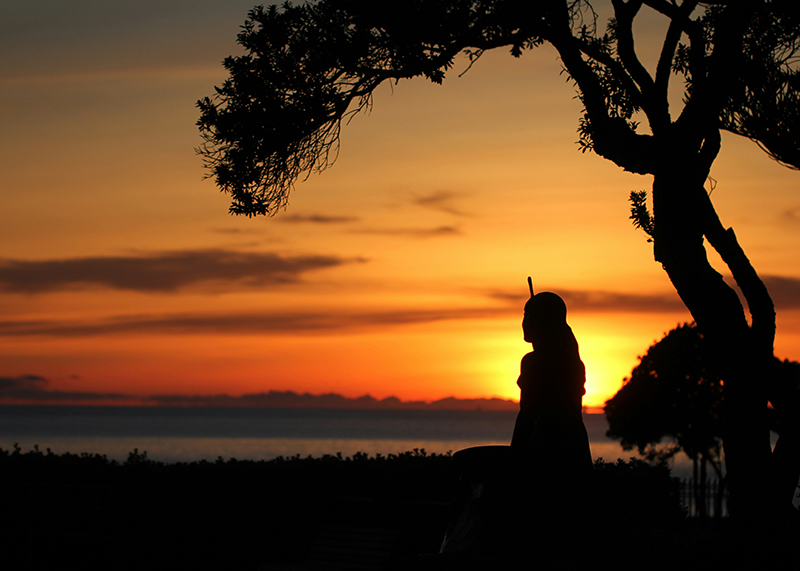 A silhouette of a person standing next to a tree with the sun setting..