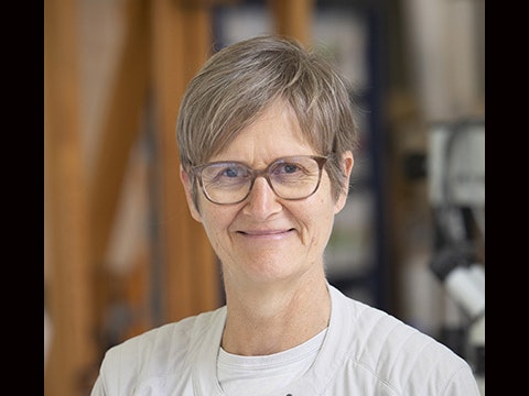 Head and shoulders of a woman smiling at the camera