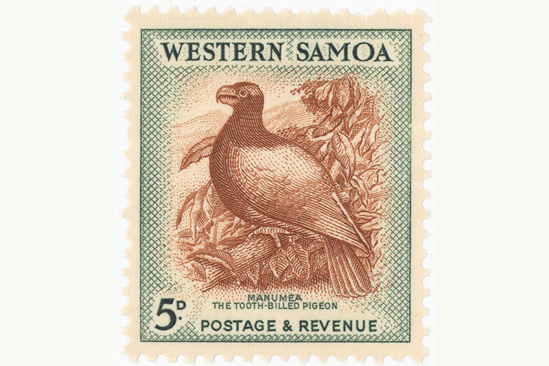 A postage stamp with an etching of a bird sitting in a tree and the words Western Sāmoa, 5d, Manumea the tooth-billed pigeon. Postage & revenue.