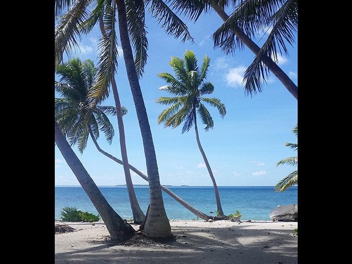 Palmerston atoll, looking towards North Islet from the Home islet. Photo by Grace Hutton A photo of palm trees on a beach by the blue sea on a sunny day.