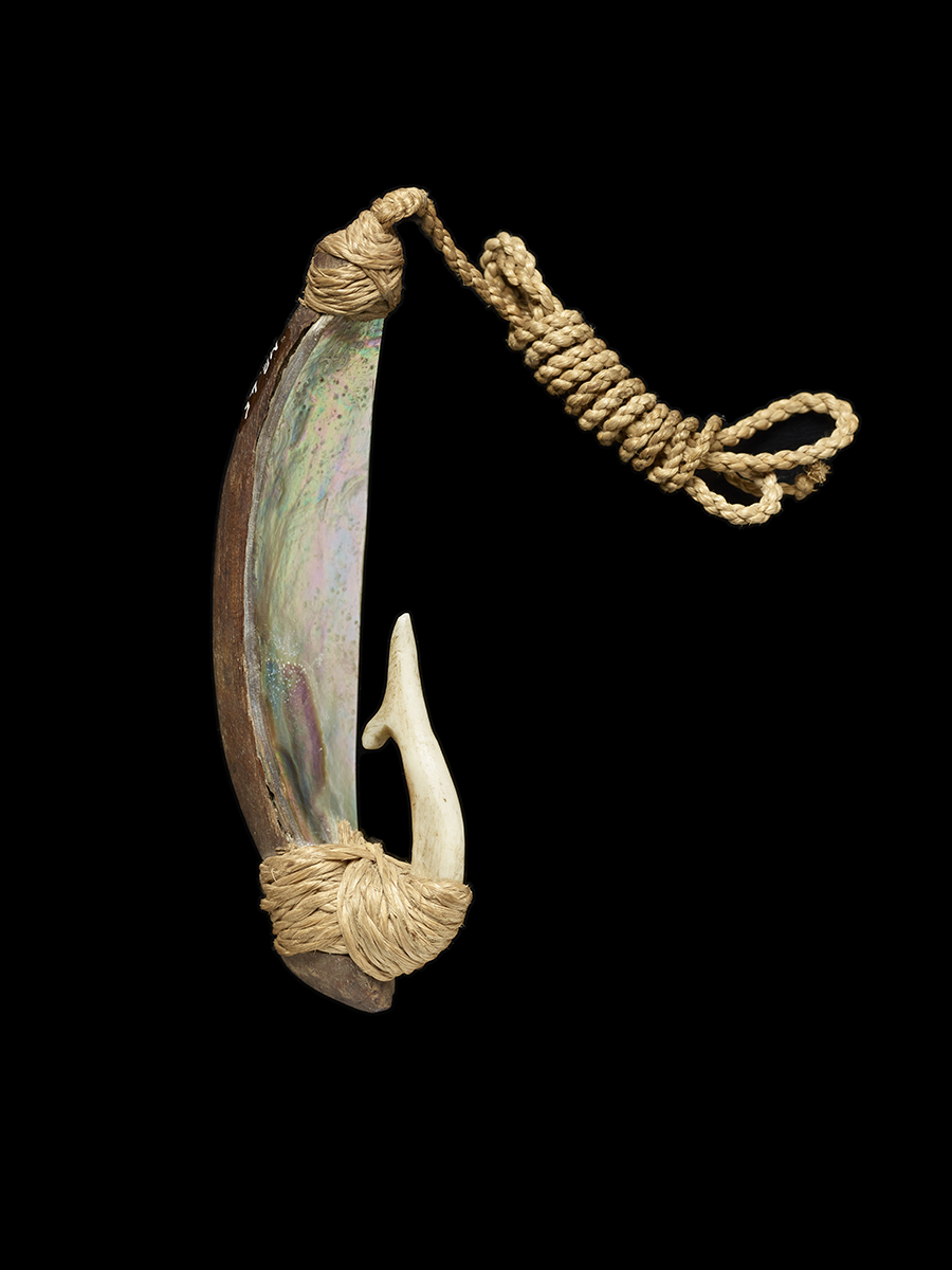 A shard of a paua shell with a piece of carved bone attached at one end and a woven cord attached.