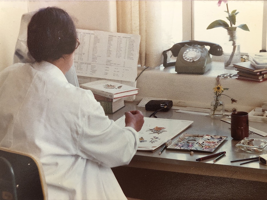 Nancy Adams at her desk. Photo by Dominion Museum (Te Papa) A woman sits at a desk and is painting flowers that are in a vase in front of her. She is in a white lab coat.